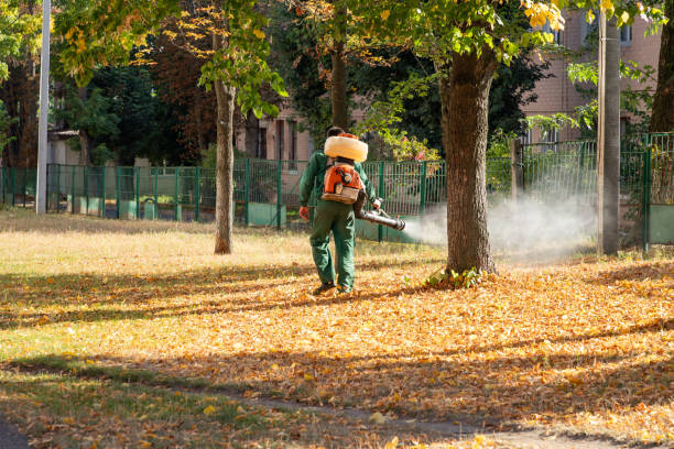 Professional Pest Control in Ettrick, VA