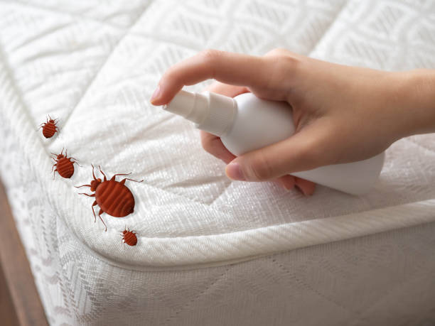 Best Pest Control for Homes  in Ettrick, VA