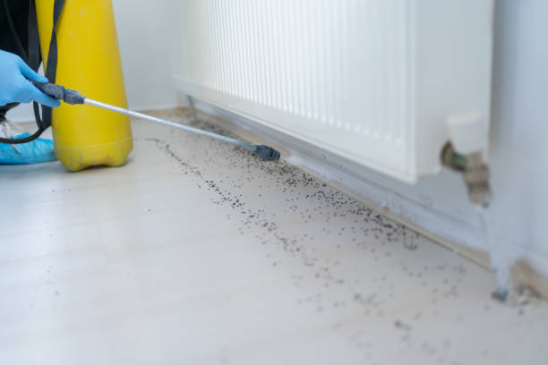 Best Best Pest Control Companies  in Ettrick, VA